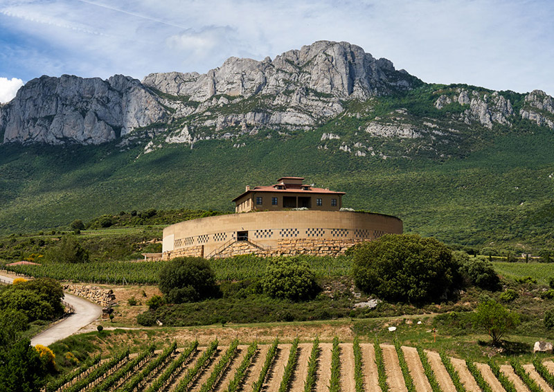 Bodega Casa Albor Laguardia