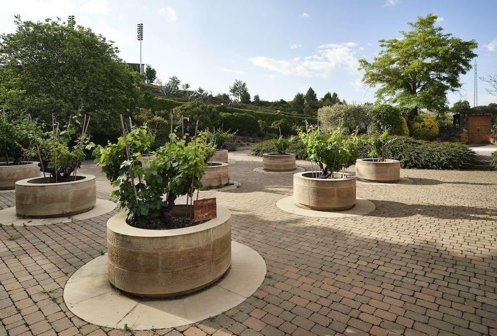 Bodega Marqués de Riscal